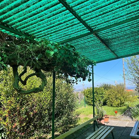 Apartma Korelc Koper Extérieur photo